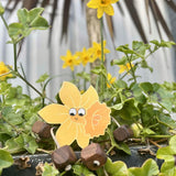 Dotty the Daffodil in Beech | Age: 3+