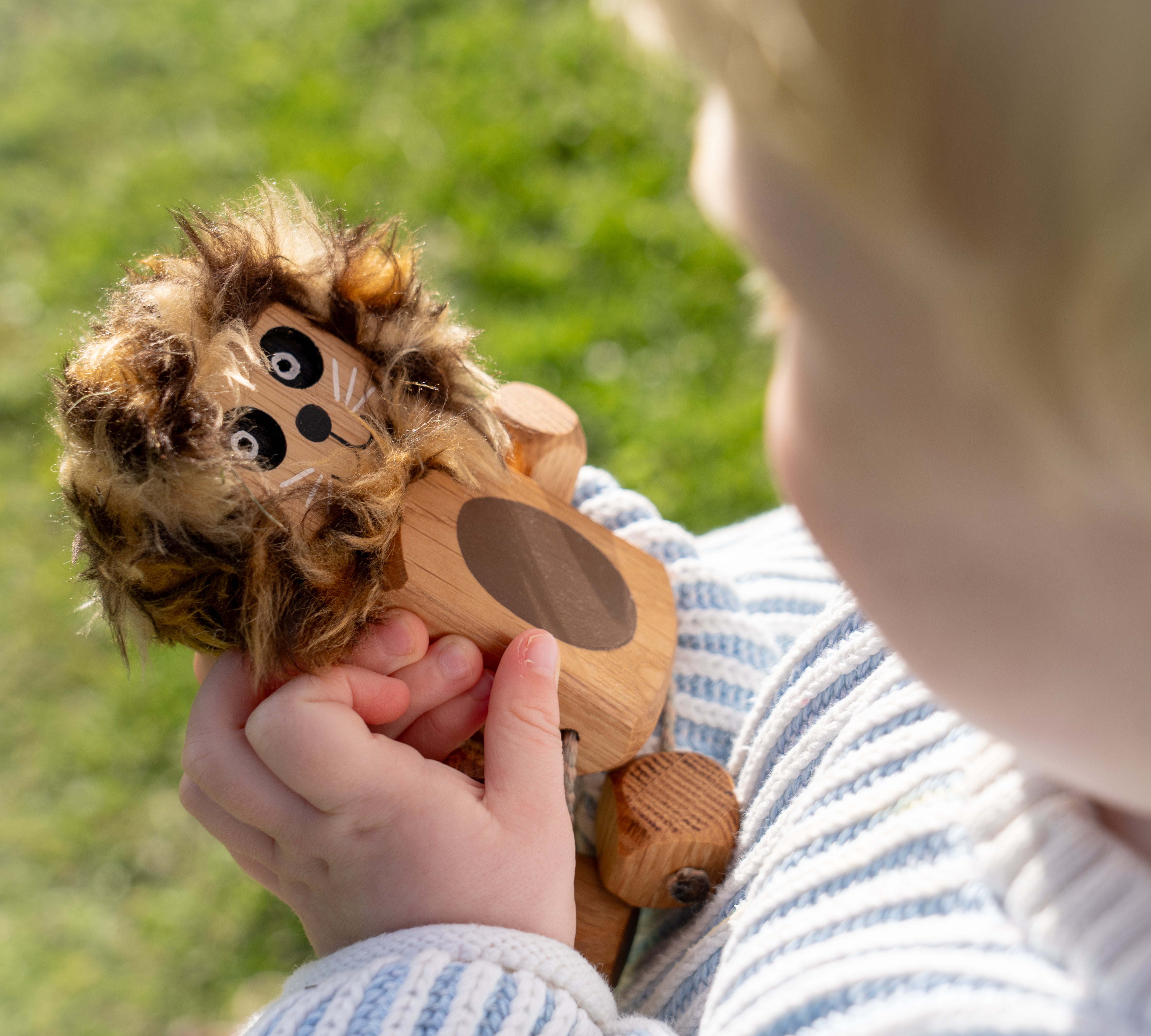 Dark Lion Ned in Oak | Age: 3+