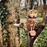 Olly the Owl in Walnut | Age: 3+