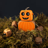 Pumpkin Ned in Oak