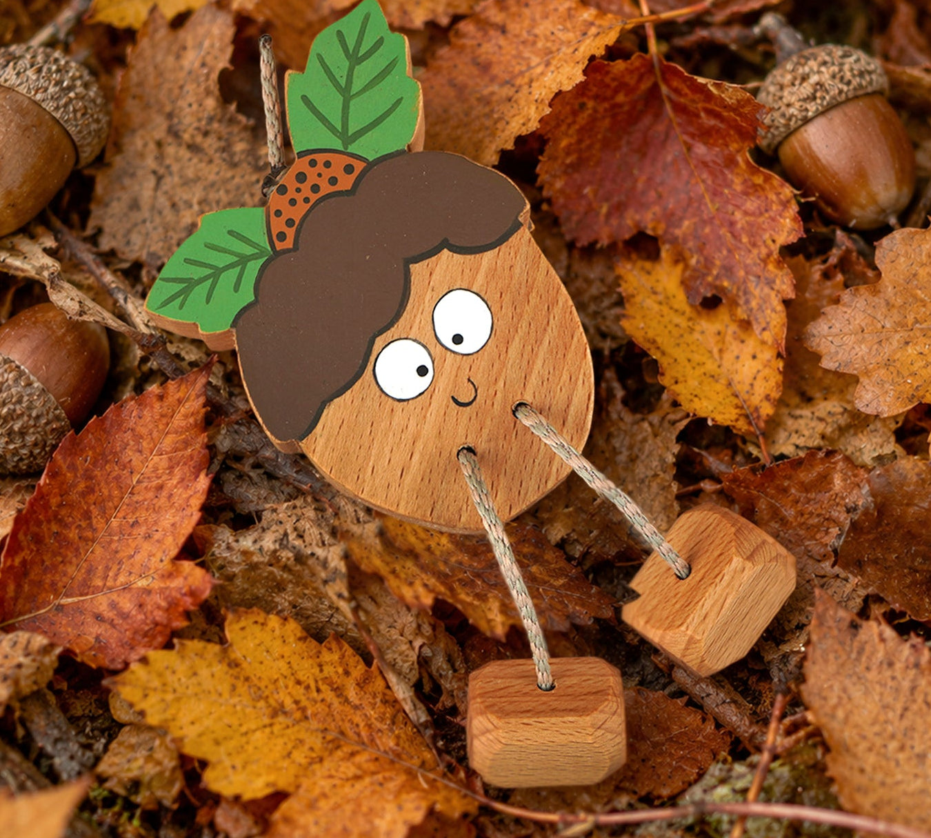 Autumnal Acorn in Beech | Age 3+