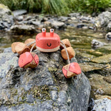 Chester the Crab in Oak | Age: 3+