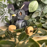Sid the Starling in Oak | Age: 3+