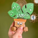Monica Monstera Plant in Beech | Age: 3+