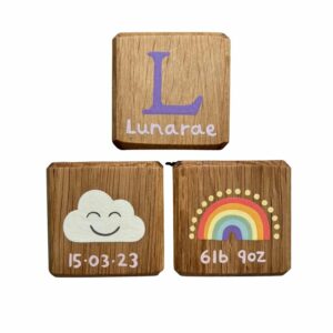 Baby blocks with pictures