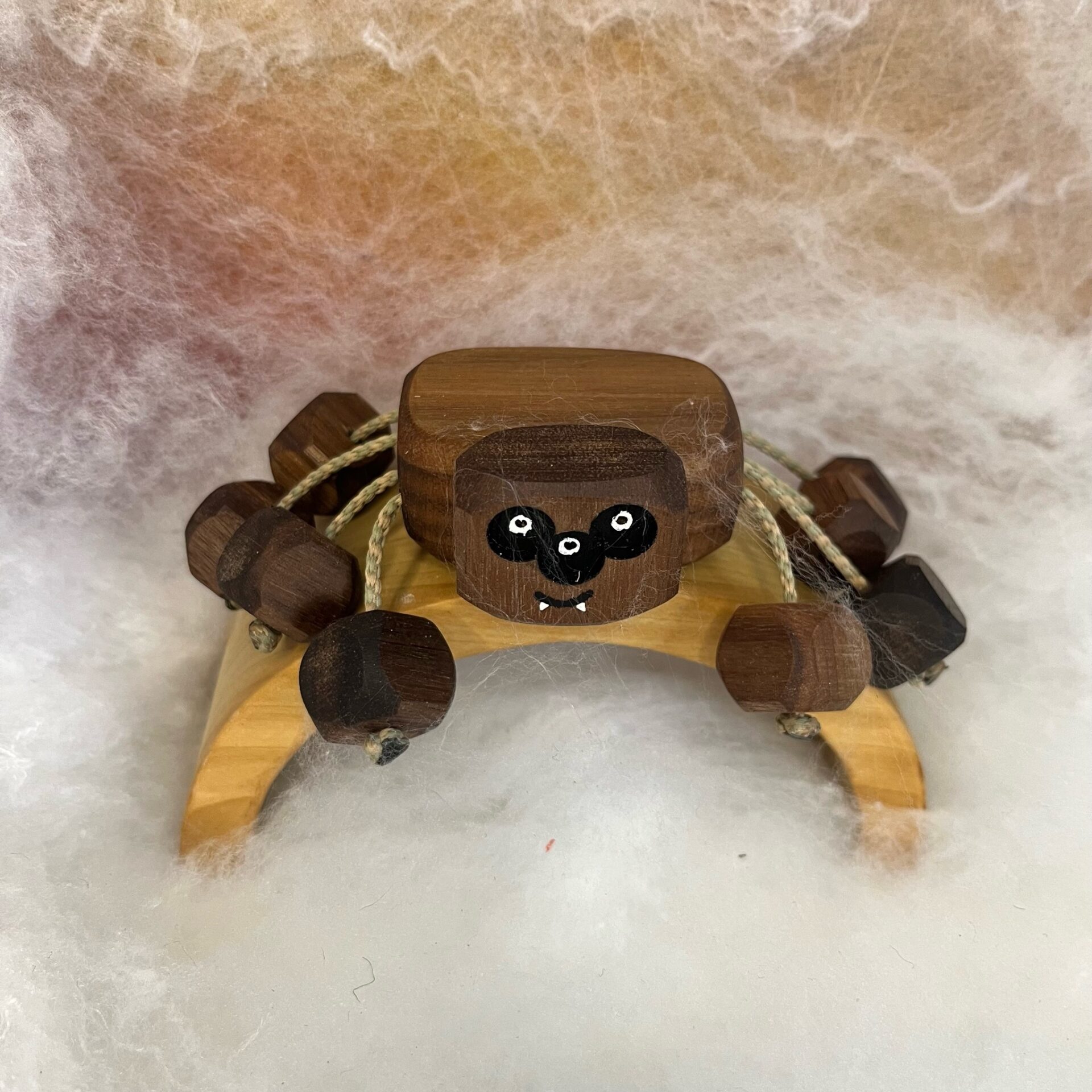top view of spider ned