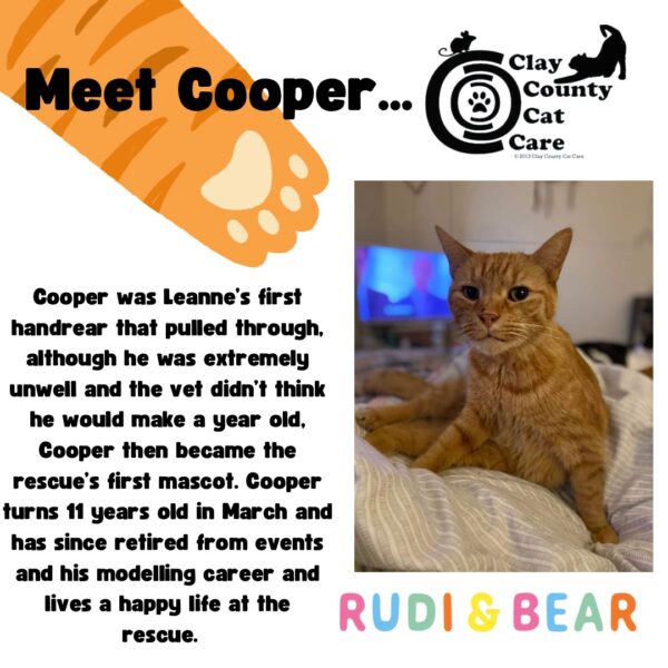 Meet Cooper. Brief introduction