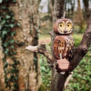 mr owl in walnut in a tree