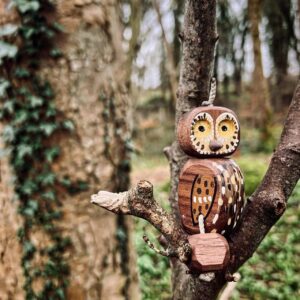 Mr Owl in Walnut