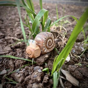 Little snail in the garden