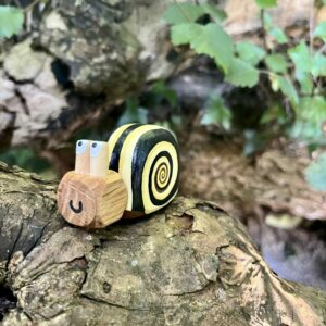 yellow banded wooden snail in the undergrowth