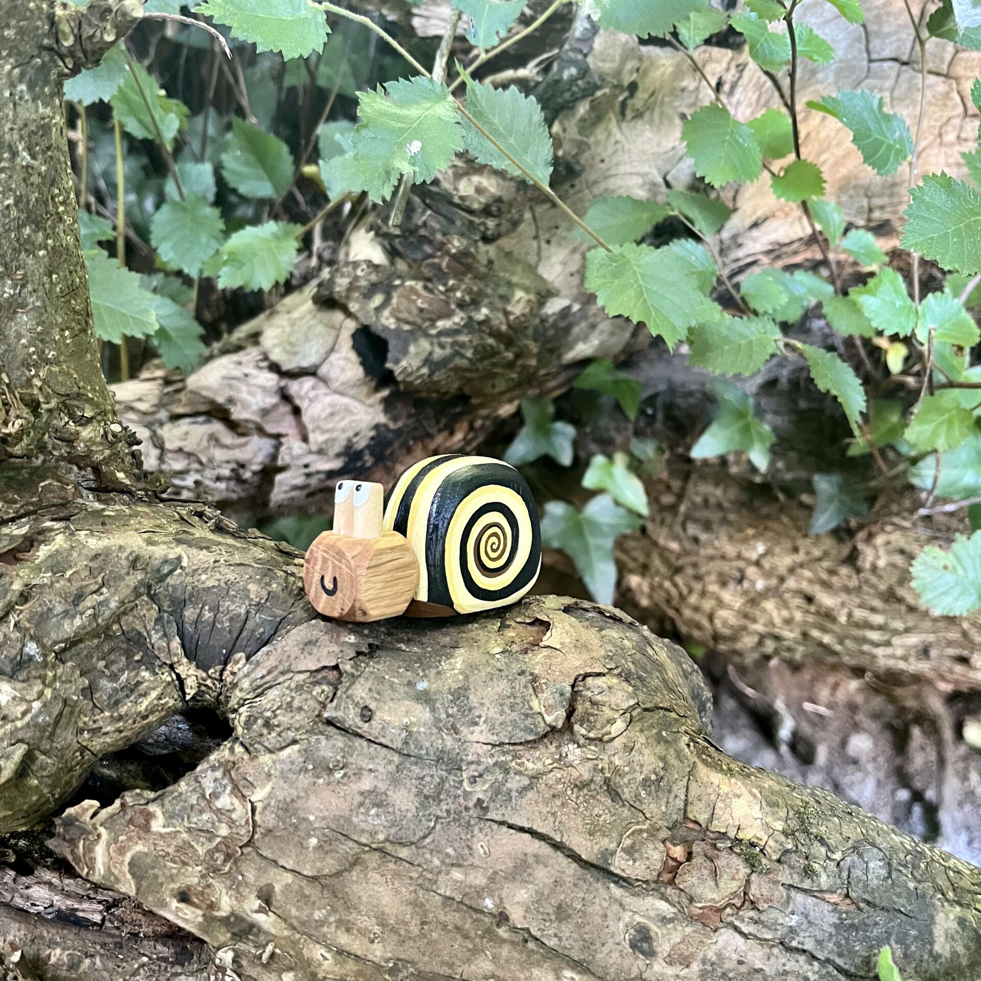 Yellow banded wooden snail