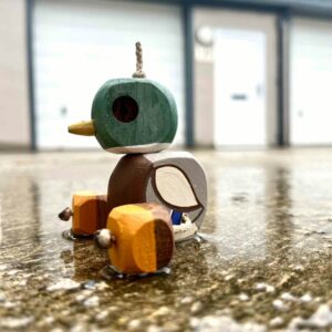 Duck Ned sat in a puddle in the rain