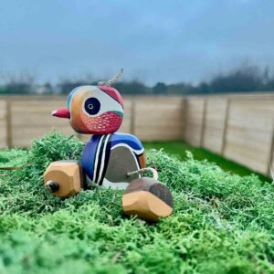 Mandarin Duck sat on a bed of moss